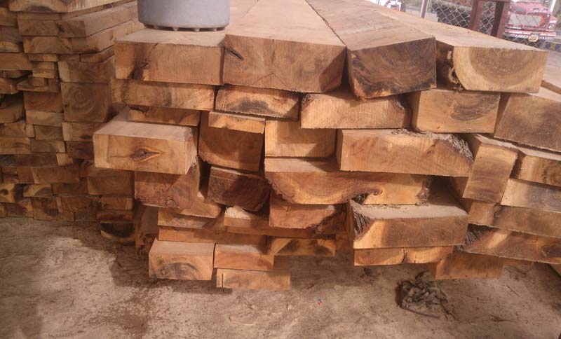 Babool Wood Cut Size