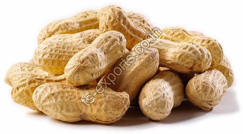 Organic Shelled Peanuts