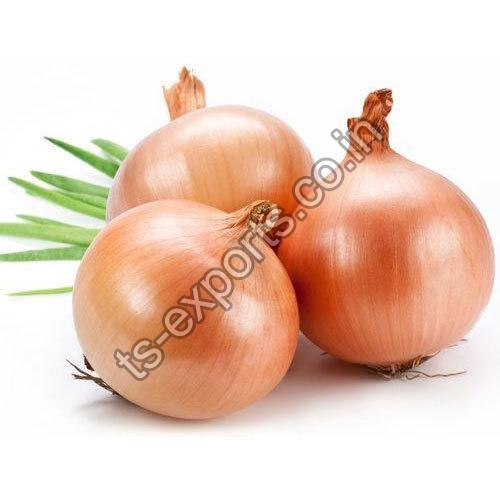 Shallot Onion