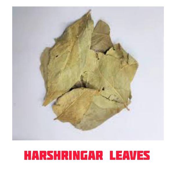 Harshringar Leaves
