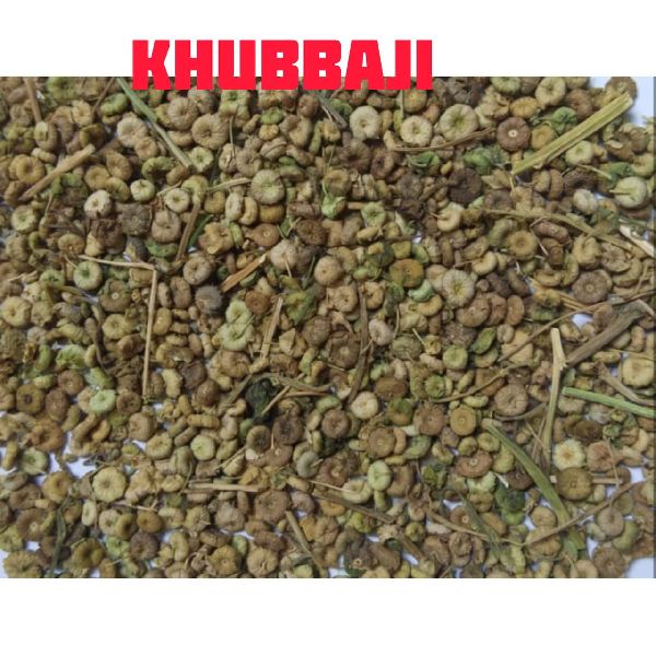 Khubbaji
