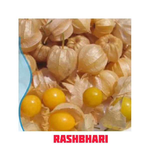 Rasbhari