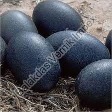 Kadaknath Egg