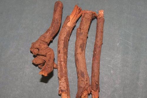 Chitrak Root