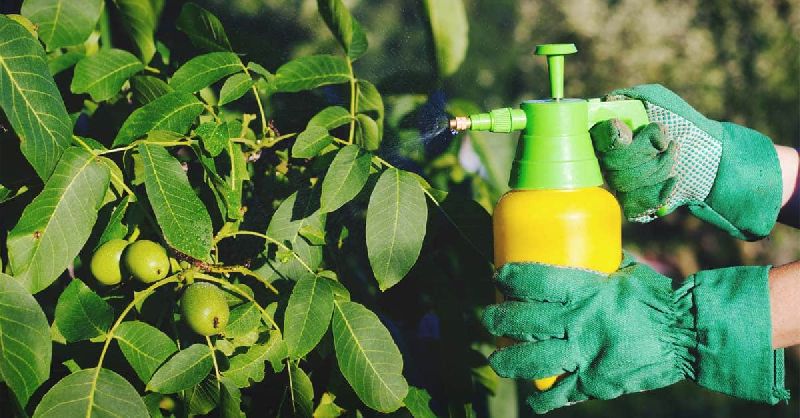 Organic Pesticides