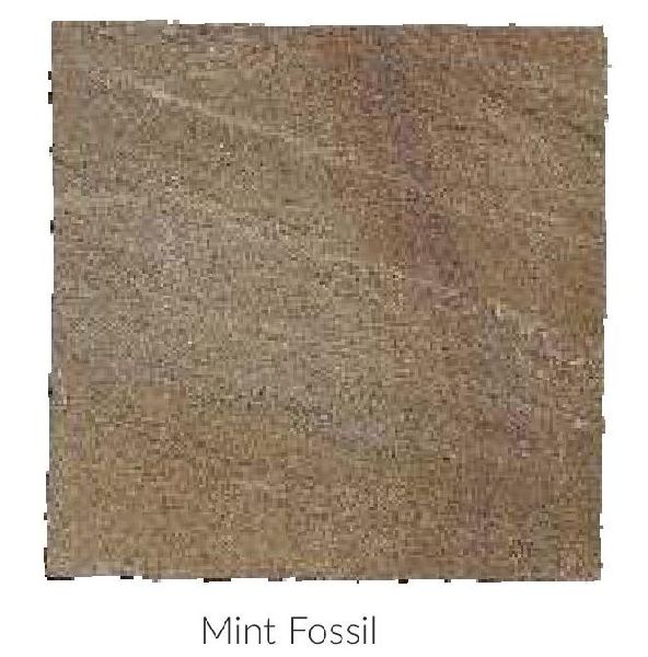 Mint Fossil Hand Cut Sandstone and Limestone Paving Stone