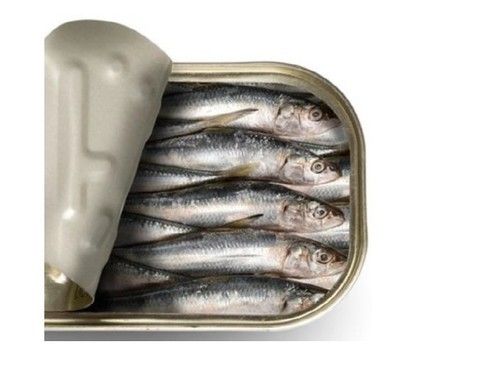 Canned Sardine