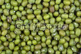 Green Gram Beans
