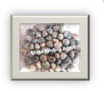 Tree Agate Polished Pebbles