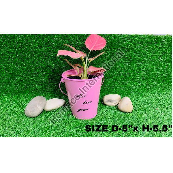TABLE TOP PLANTER FOR FLOWER CHEAP AND BEST PLANTER HOME AND OFFICE