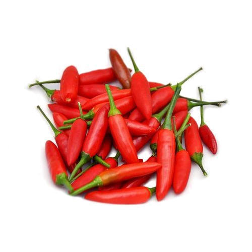 Bird's Eye Chilli