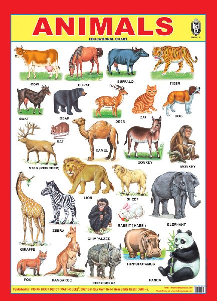 Animals 3d Embossed Chart