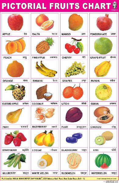 Fruits Educational Wall Chart