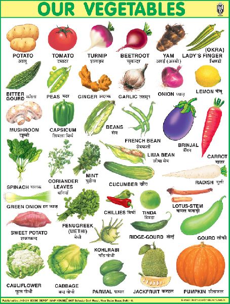 Vegetables Educational Wall Chart