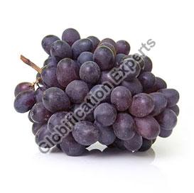 Banglore Blue Grapes