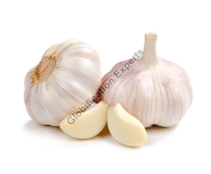 G1 Fresh Garlic