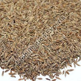 Gulf Quality Cumin Seeds (98%)