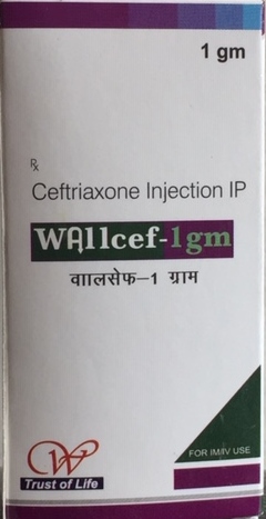 Wallcef 1gm Injection