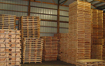 On Site Wooden Pallets & Crates Packaging Services