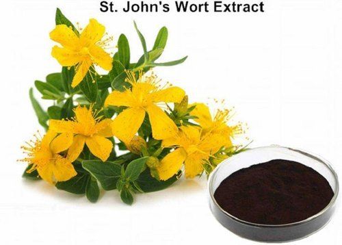 St Johns Wort Extract