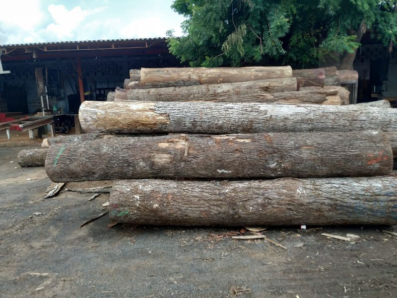Hickory Wood Log 08