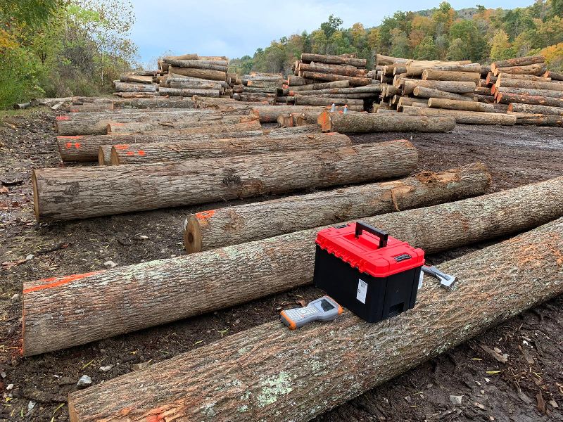 Hickory Wood Log 09