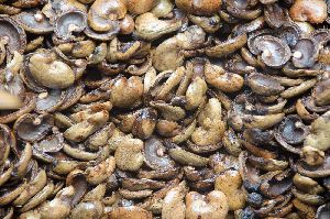 Dry Raw Cashew Nuts