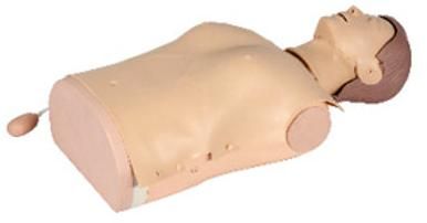 Half Body CPR Training Manikin