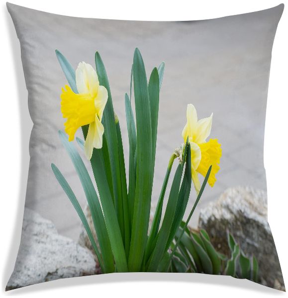 12 X 12inch Daffodil Cushion