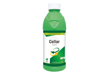 Collar Ethion 40% and Cypermethrin 5% EC Insecticide