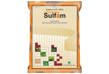 Sulfam Sulphur 80% WDG Fungicide