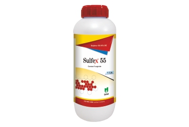 Sulfex 55 Sulphur 55.16% SC Fungicide