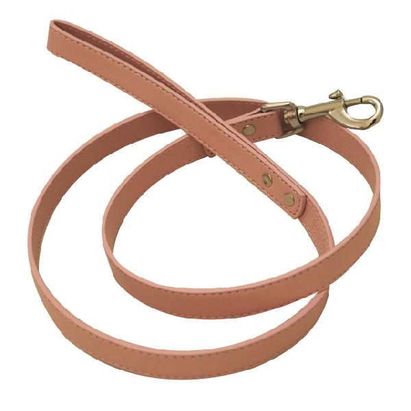 Best Dog Leashes for Every Type of Dog
