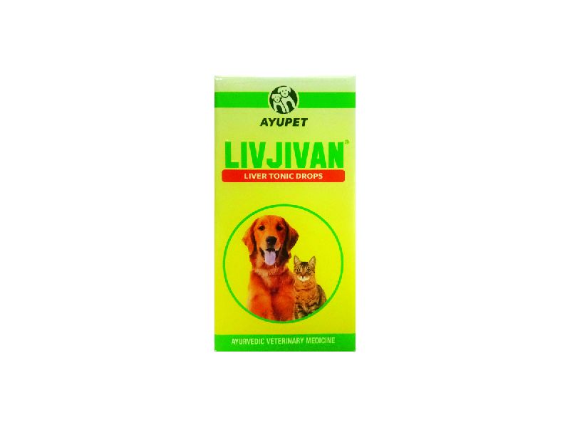Liv Jivan Liver Tonic Drops