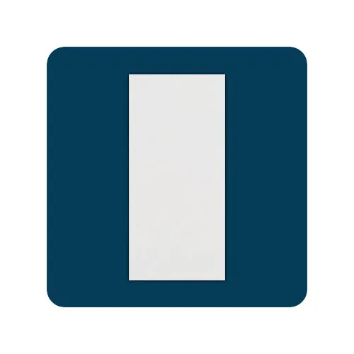 Blank Switch Plate