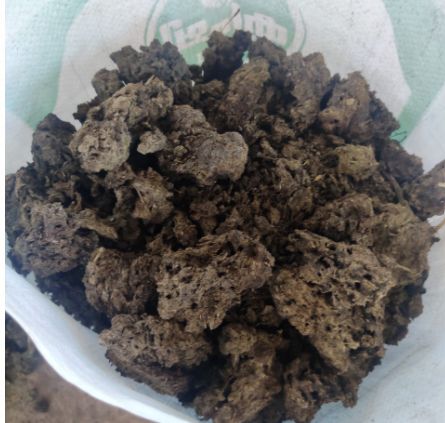 Dry Cow Dung