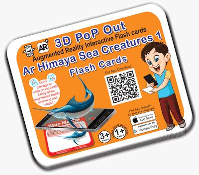 Ar Himaya Sea Creatures 1 Flash Cards