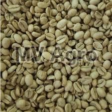 Monsooned Malabar AA  Green Coffee Beans