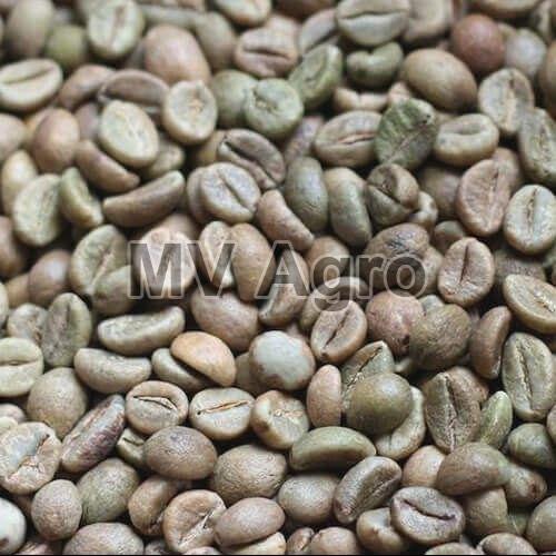Robusta Cherry AA Coffee Beans