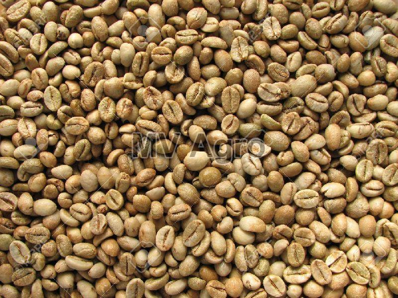 Robusta Kaapi Royale Coffee Beans