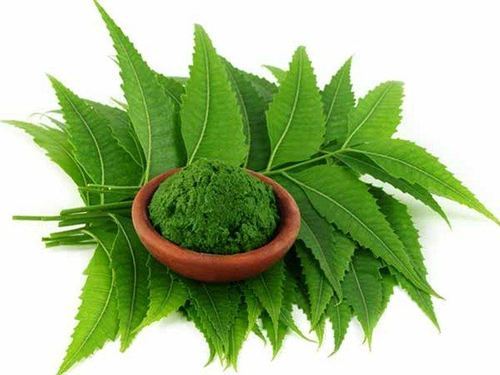 Neem Leaf Extract