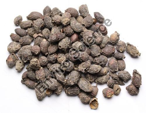 Eugenia Extract
