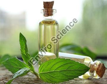 Peppermint Oil