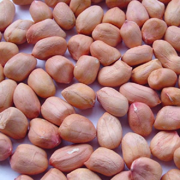 Java Peanut Seeds