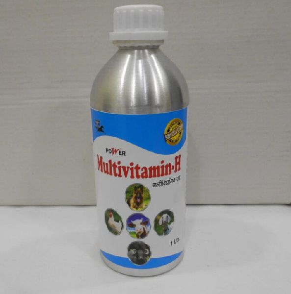 Power Multivitamin-H Liquid