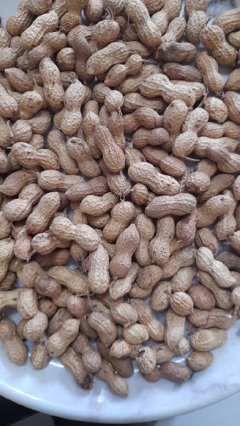 Raw Java Peanuts