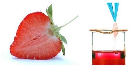 Strawberry Liquid Extract 10:1