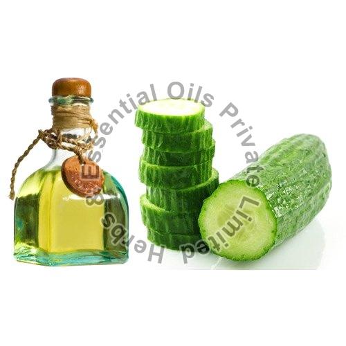 Cucumber Liquid Extract 10:1