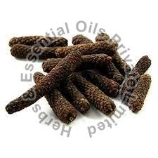 Indian Long Pepper Extract