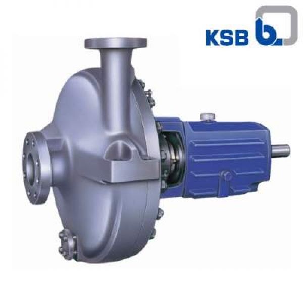 RPH Volute Casing Centrifugal Pump